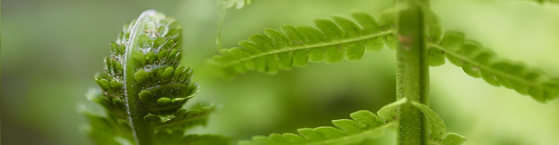 Symbolbild Systemische Beratung